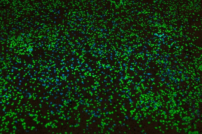 Béton luminescent Nevers